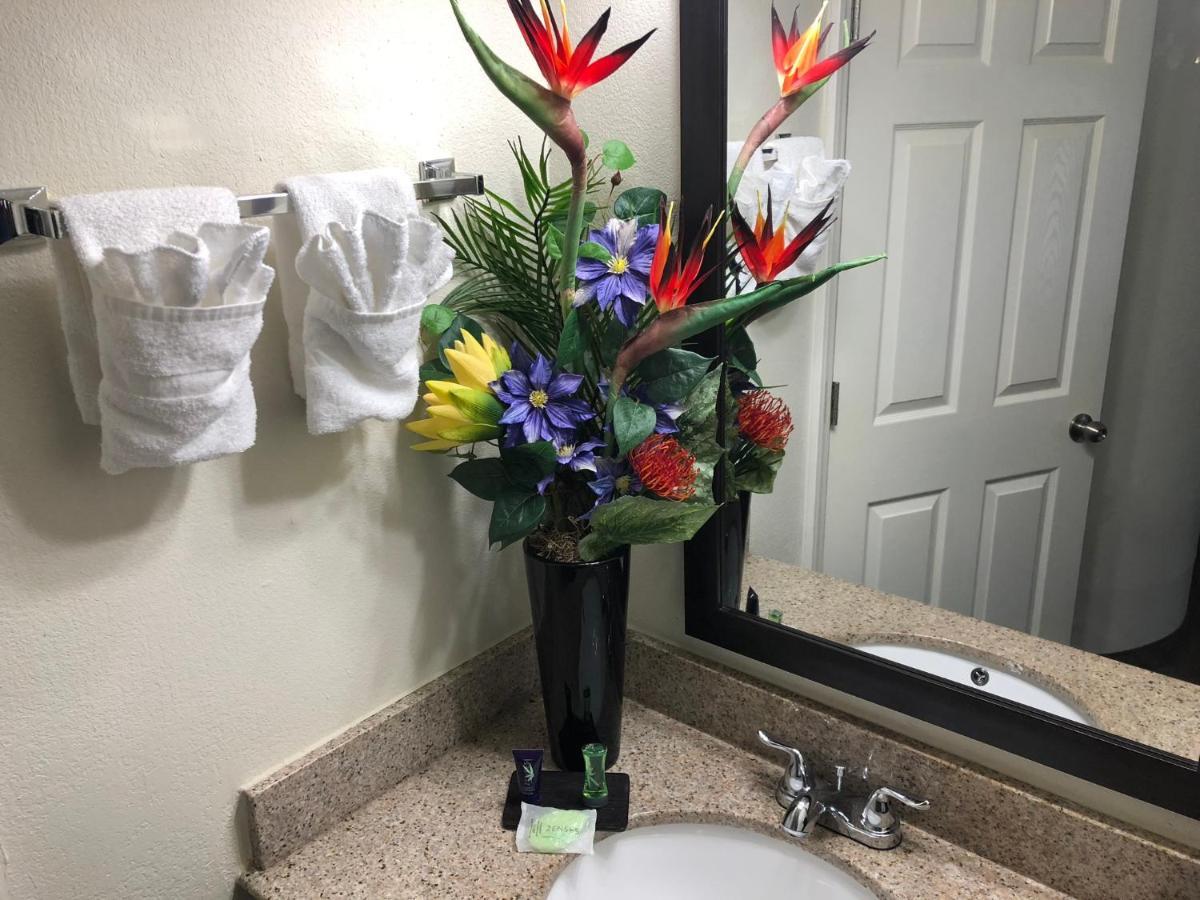 Magnolia Inn Extended Stay Of Kingsland - New 2024 - Book A Kitchen Room - 12 Noon Check Out - Sleep In Late - Better Sleep - Ultra Sparkling - Pool Open Until Until 4Am - Stay And Save Today - 24 Hour Front Desk - Premium Coffee Bar - Award Winning Экстерьер фото